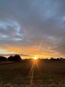 令和8年1月　1週目献立